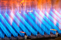 Llangadwaladr gas fired boilers